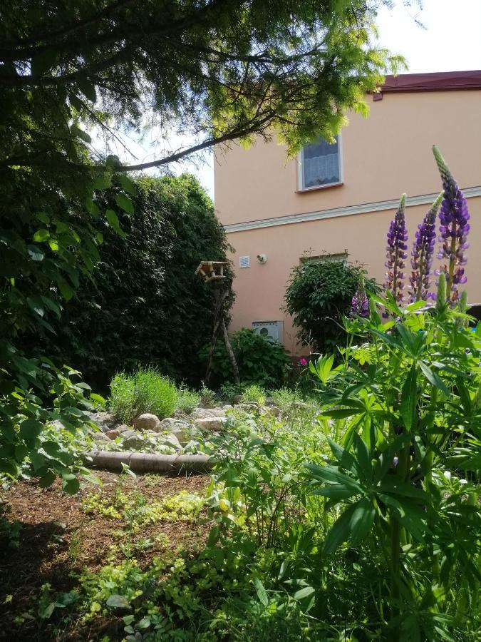 Mv Apartamenty Komfort Augustow Exterior photo
